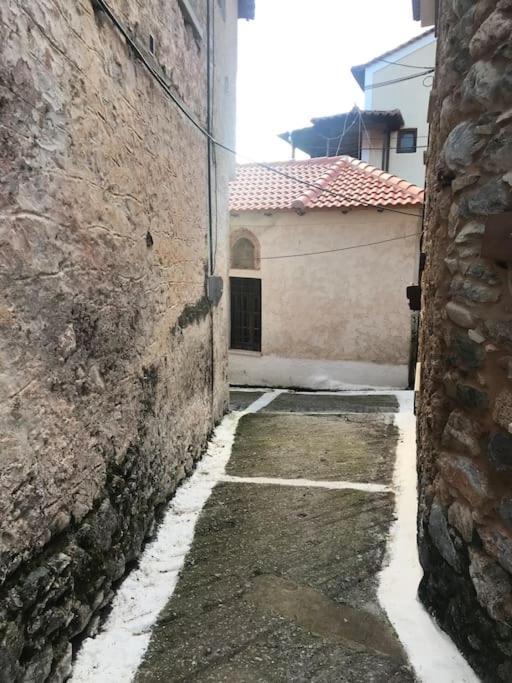 Fani'S House Villa Kastanitsa Dış mekan fotoğraf